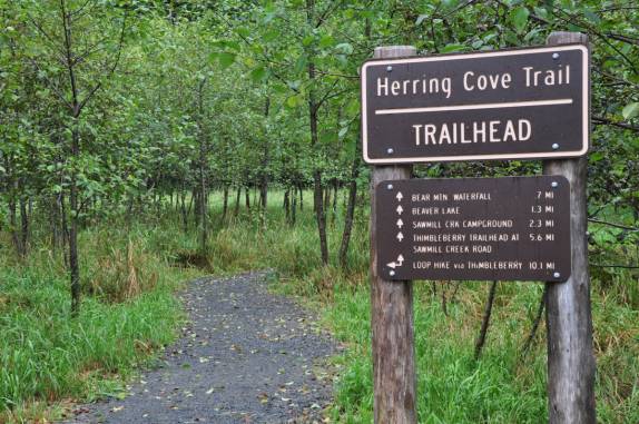 Início de trilha pela Rain Forest na região de Sitka, no sudeste do Alaska